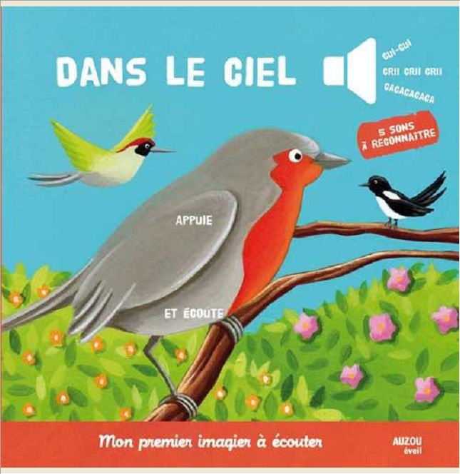 DANS LE CIEL (COLL. MON PREMIER IMAGIER A ECOUTER)