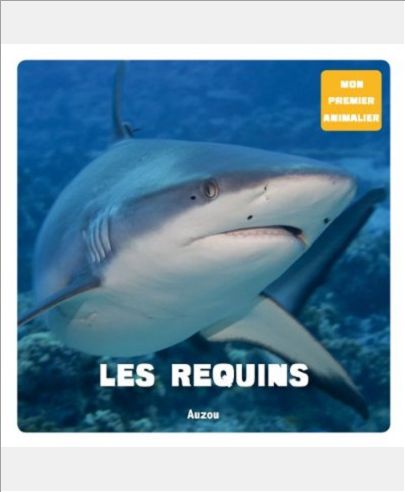LES REQUINS
