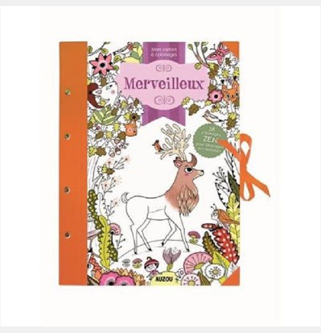 MON CARTON A COLORIAGES - MERVEILLEUX