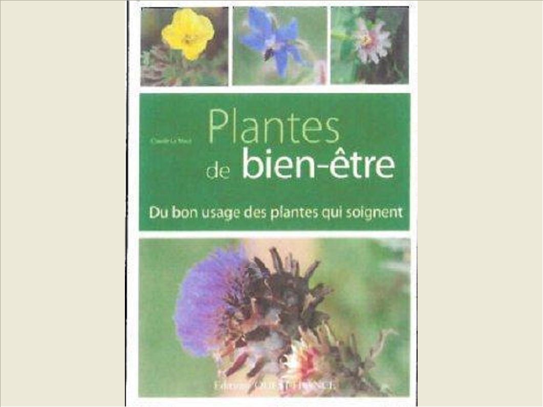 PLANTES DE BIEN-ETRE