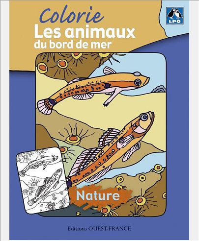 COLORIE LES ANIMAUX DU BORD DE MER