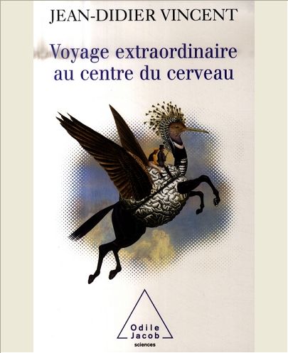 VOYAGE EXTRAORDINAIRE AU CENTRE DU CERVEAU