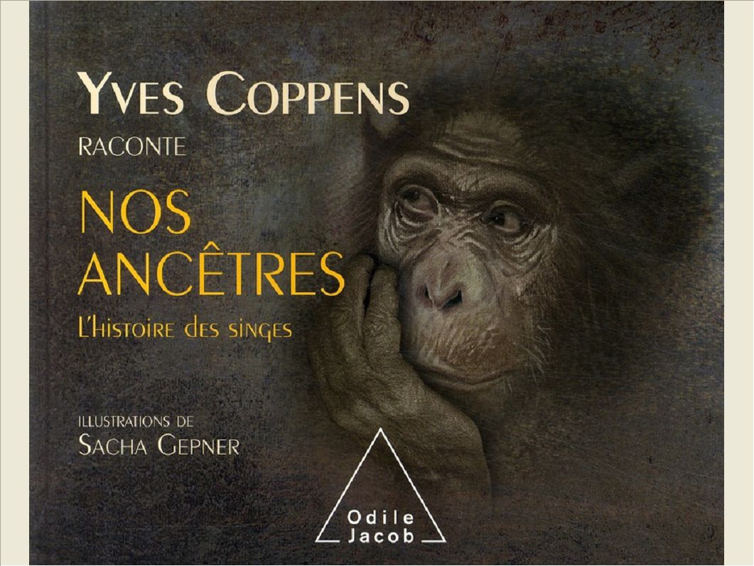 YVES COPPENS RACONTE L'HISTOIRE DES SINGES