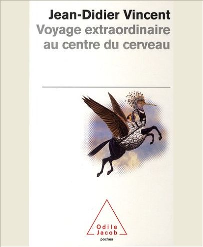 VOYAGE EXTRAORDINAIRE AU CENTRE DU CERVEAU