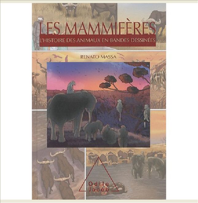 LES MAMMIFERES - L'HISTOIRE DES ANIMAUX EN BANDES DESSINEES