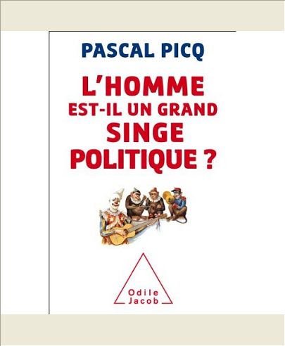 L'HOMME EST-IL UN GRAND SINGE POLITIQUE ?