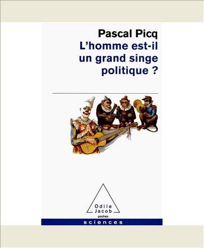 L'HOMME EST-IL UN GRAND SINGE POLITIQUE ?