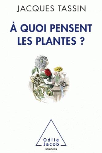 A QUOI PENSENT LES PLANTES ?