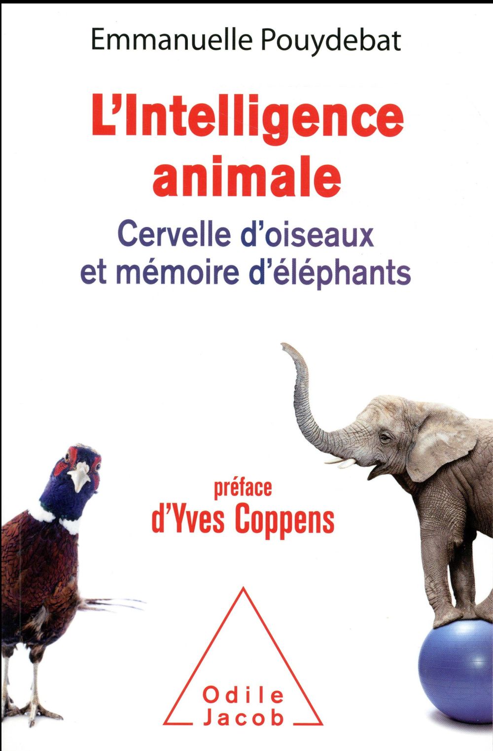L'INTELLIGENCE ANIMALE