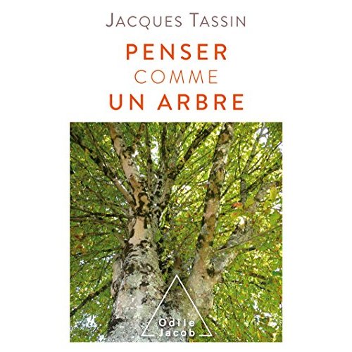 PENSER COMME UN ARBRE