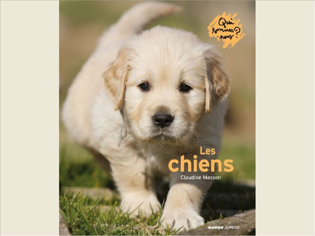 LES CHIENS
