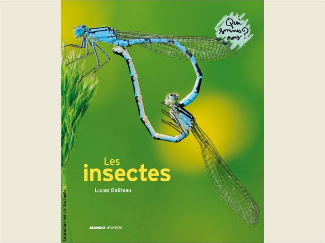LES INSECTES