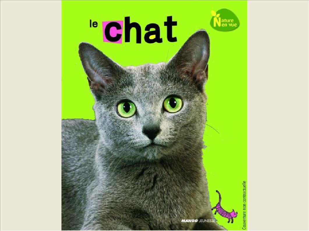LE CHAT