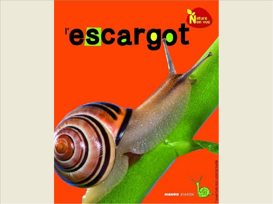 L'ESCARGOT