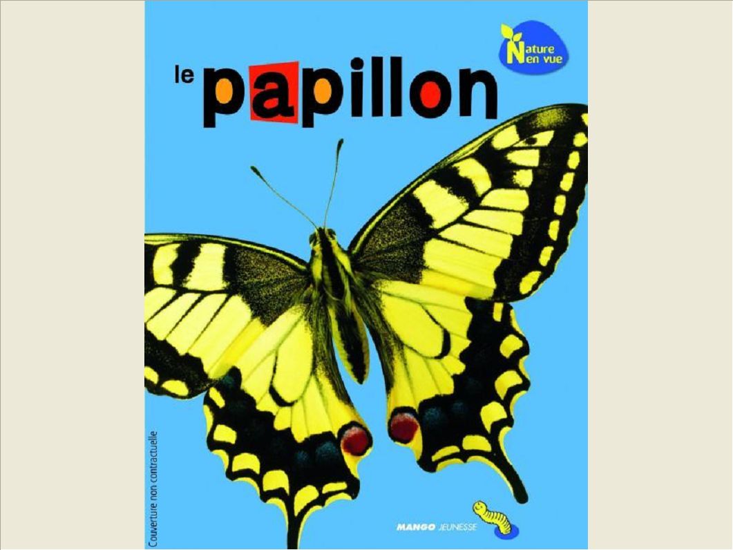LE PAPILLON