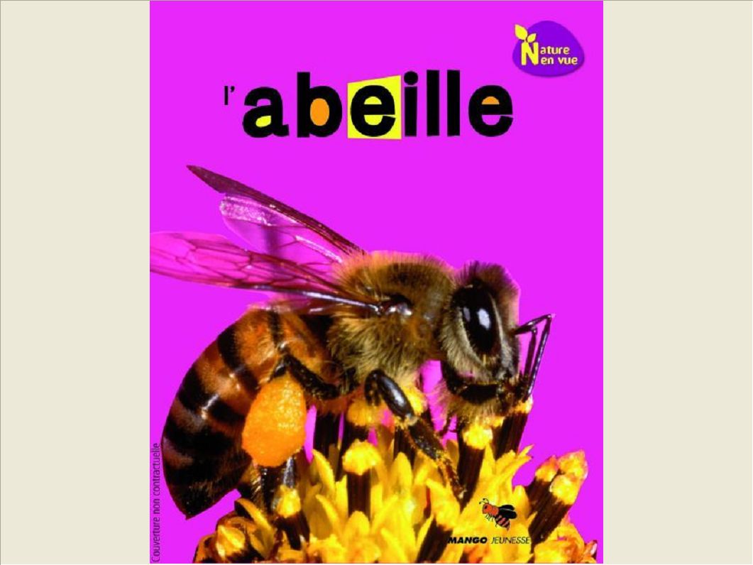 ABEILLE