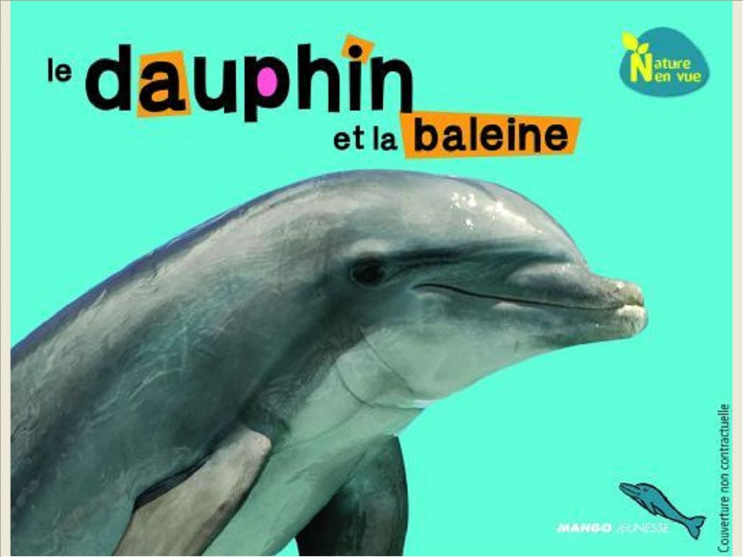 LE DAUPHIN ET LA BALEINE