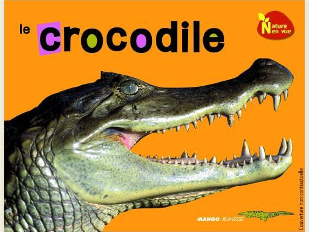 LE CROCODILE