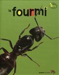 LA FOURMI