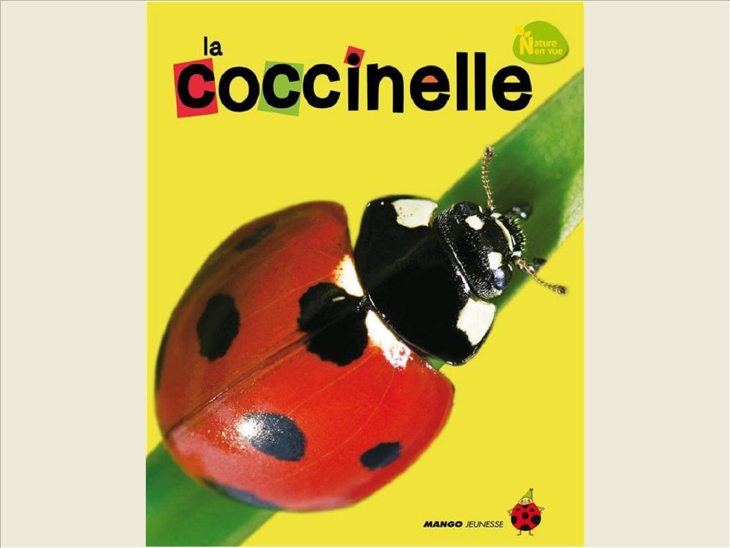 LA COCCINELLE