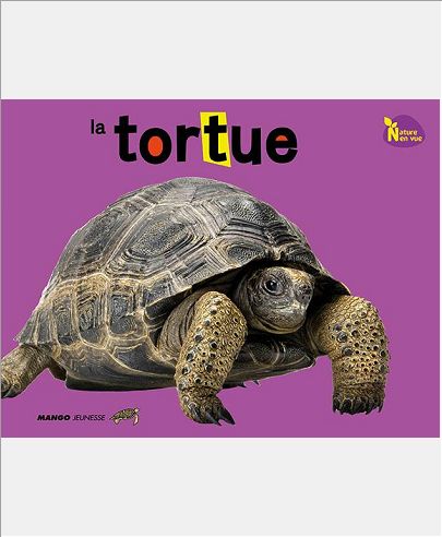 LA TORTUE