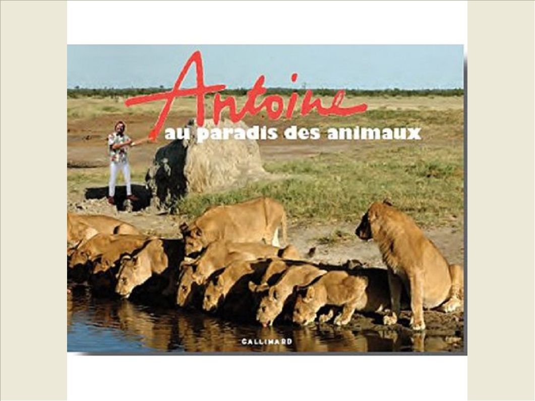 AU PARADIS DES ANIMAUX