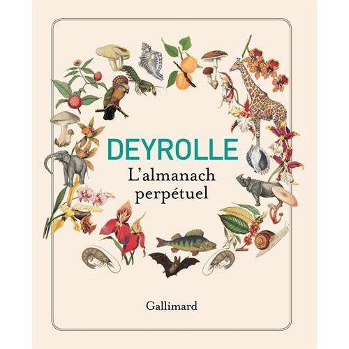 DEYROLLE - L'ALMANACH PERPETUEL
