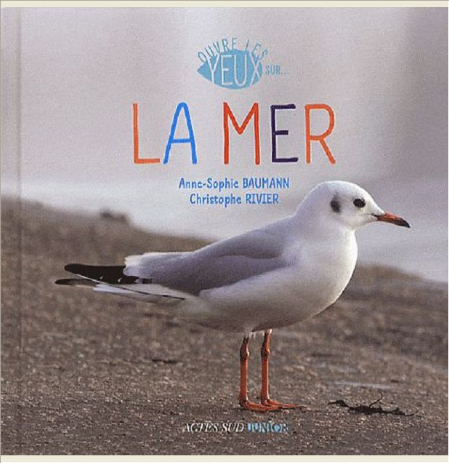 OUVRE LES YEUX SUR LA MER