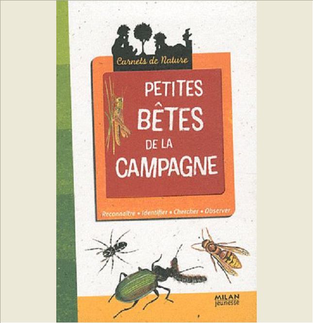 PETITES BETES DE LA CAMPAGNE