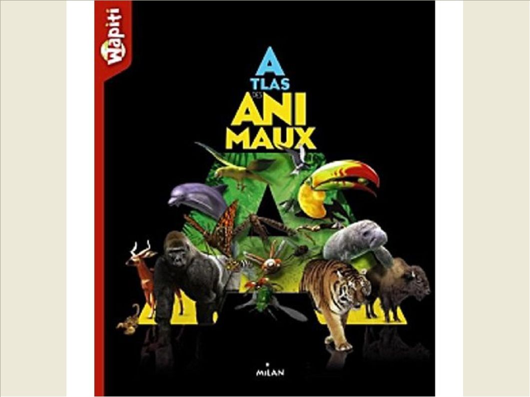 ATLAS DES ANIMAUX WAPITI