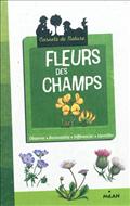FLEURS DES CHAMPS