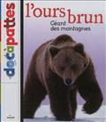 L'OURS BRUN