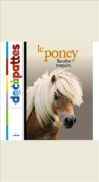 LE PONEY