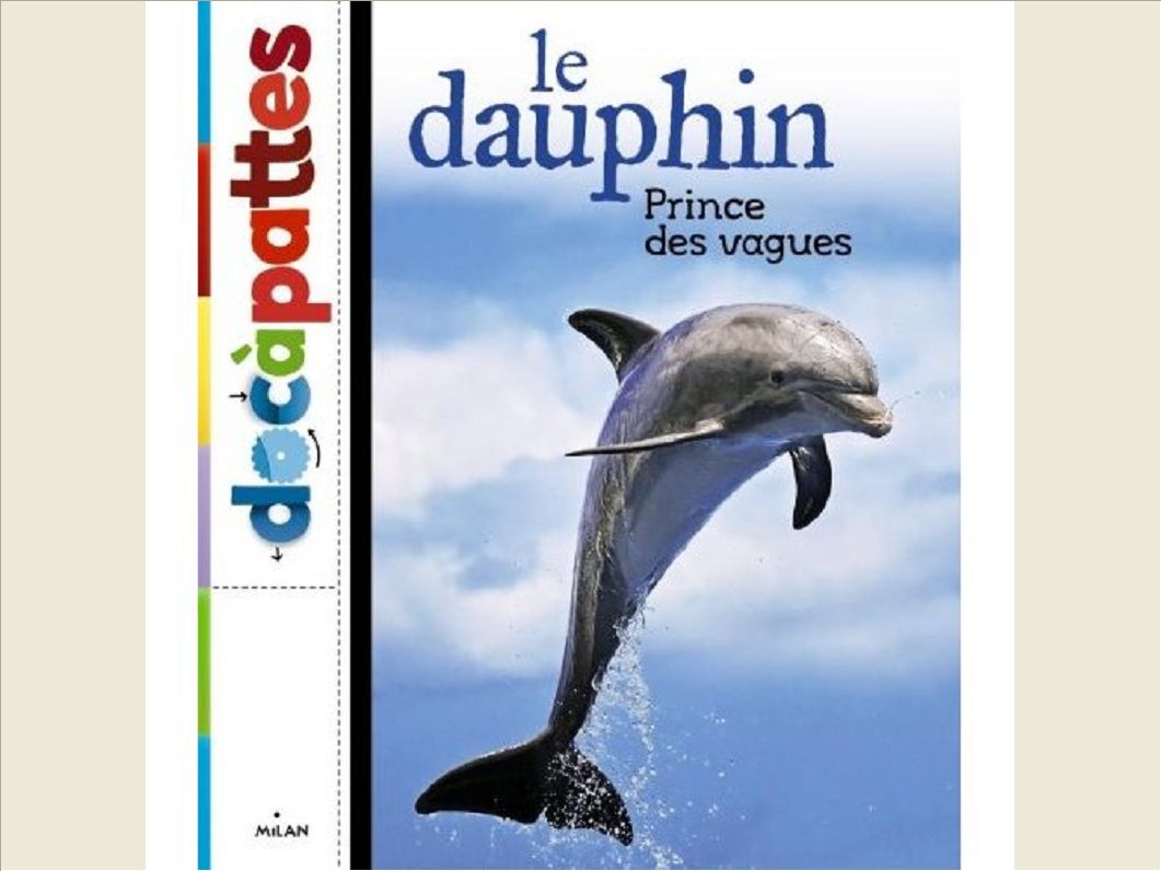 LE DAUPHIN, PRINCE DES VAGUES