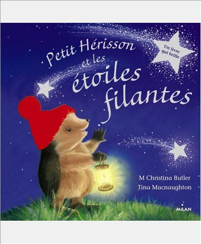 PETIT HERISSON ET LES ETOILES FILANTES (TOUT-CARTON)