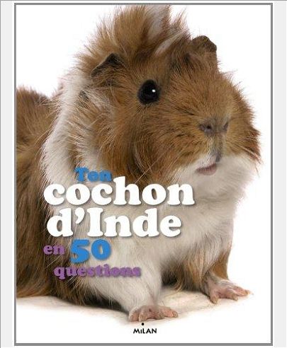 TON COCHON D'INDE EN 50 QUESTIONS