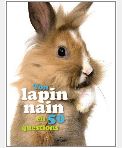 TON LAPIN NAIN EN 50 QUESTIONS