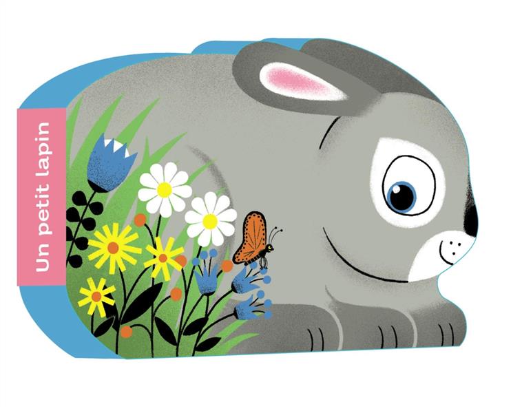 UN PETIT LAPIN