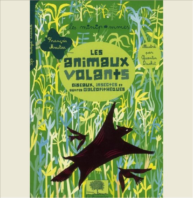 LES ANIMAUX VOLANTS - OISEAUX, INSECTES ET AUTRES GALEOPITHEQUES