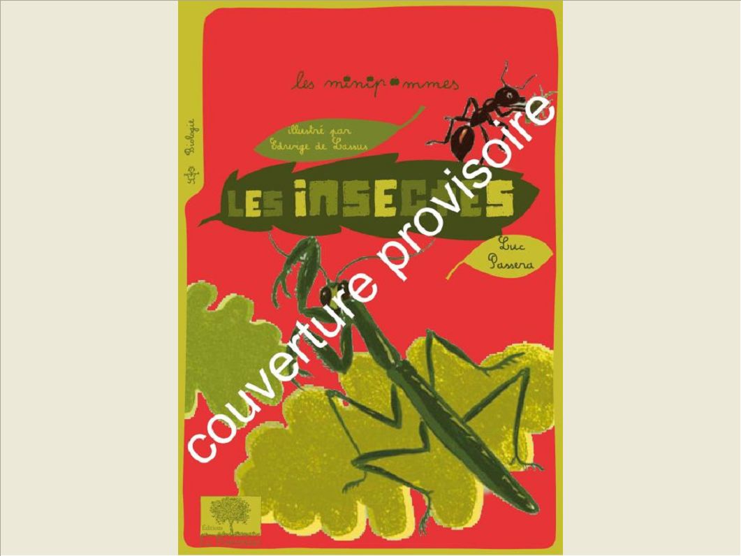 Ã la chasse aux insectes