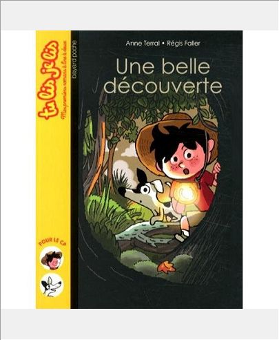 UNE BELLE DECOUVERTE - N  4