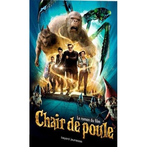 LE ROMAN DU FILM CHAIR DE POULE