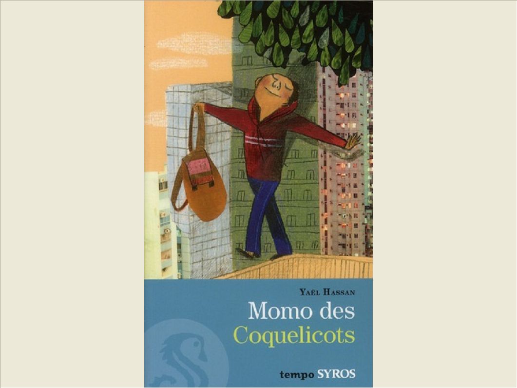 MOMO DES COQUELICOTS