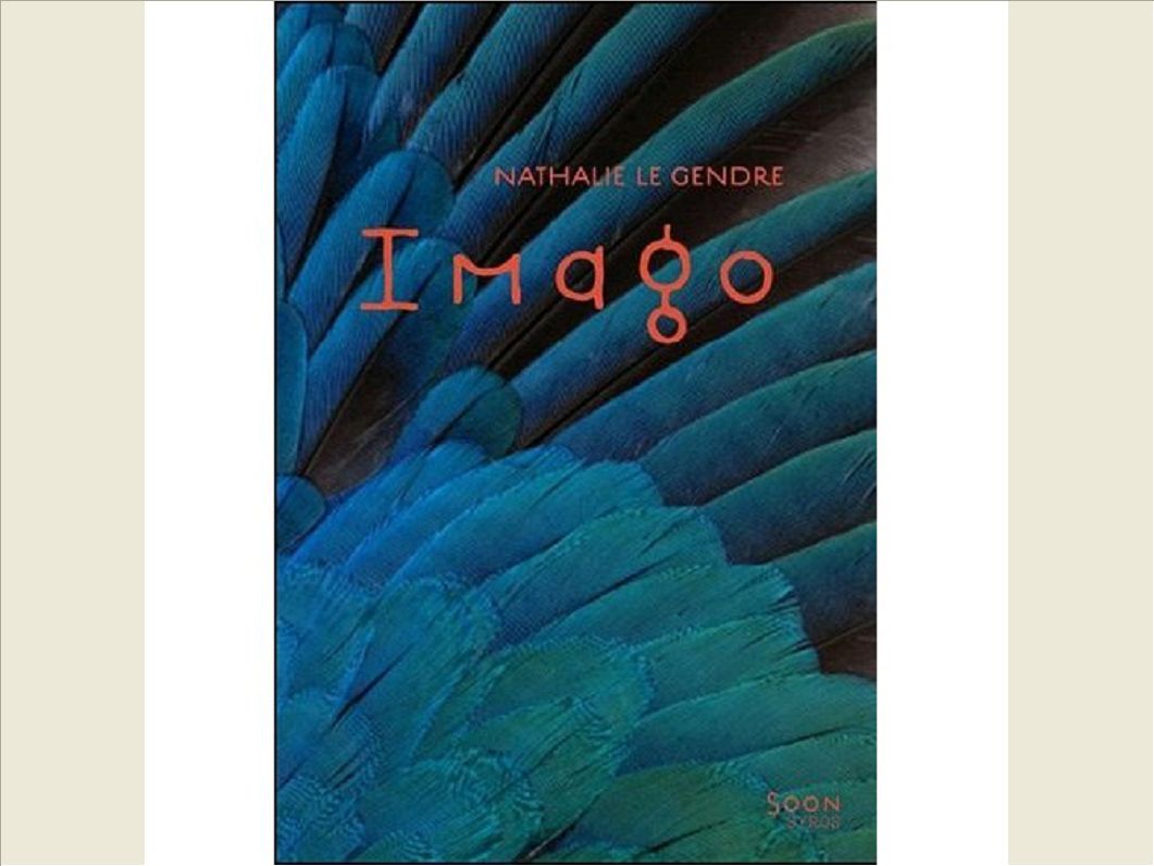 IMAGO