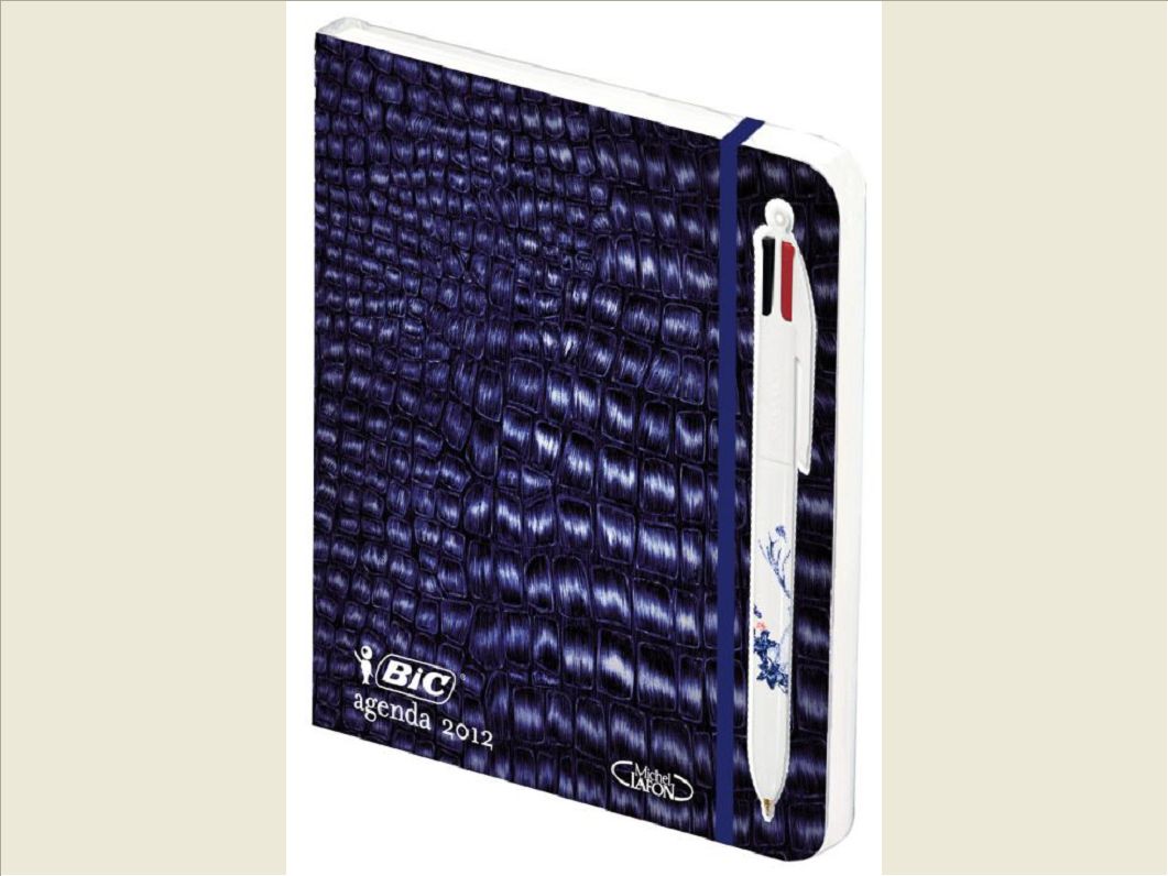 BIC, L'AGENDA 2012