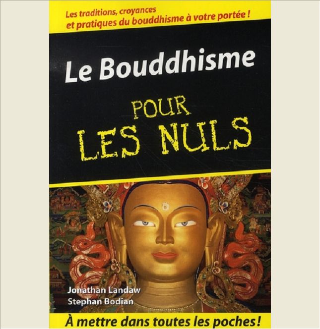 LE BOUDDHISME POCHE POUR LES NULS