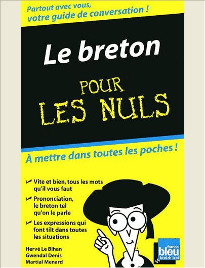 LE BRETON GUIDE DE CONVERSATION POUR LES NULS