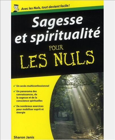 SAGESSE ET SPIRITUALITE POCHE POUR LES NULS