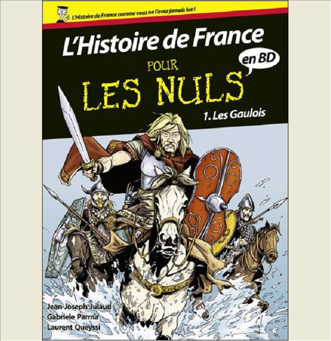 L'HISTOIRE DE FRANCE EN BD POUR LES NULS - TOME 1 - LES GAULOIS - VOL01