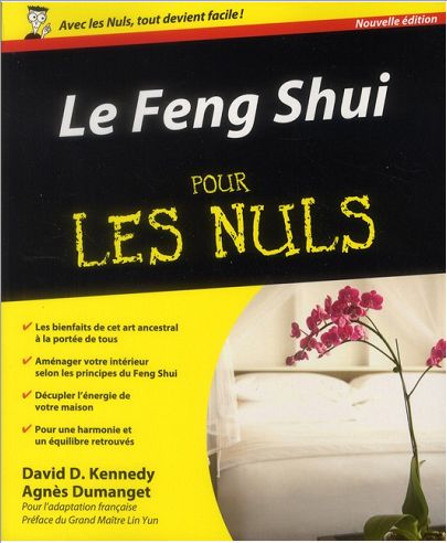 FENG SHUI POUR LES NULS, 2E